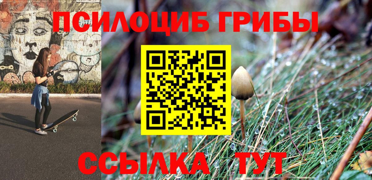 Псилоцибиновые грибы Psilocybine cubensis Люберцы